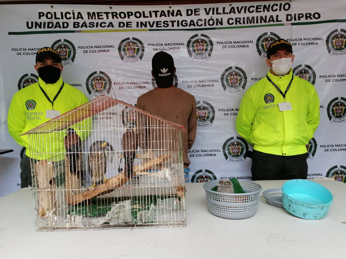 Villavicencio/ Sujeto capturado por comercializar animales en peligro de extinción