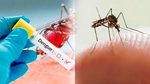 Casi mil casos de dengue registra Villavicencio en lo que va de año