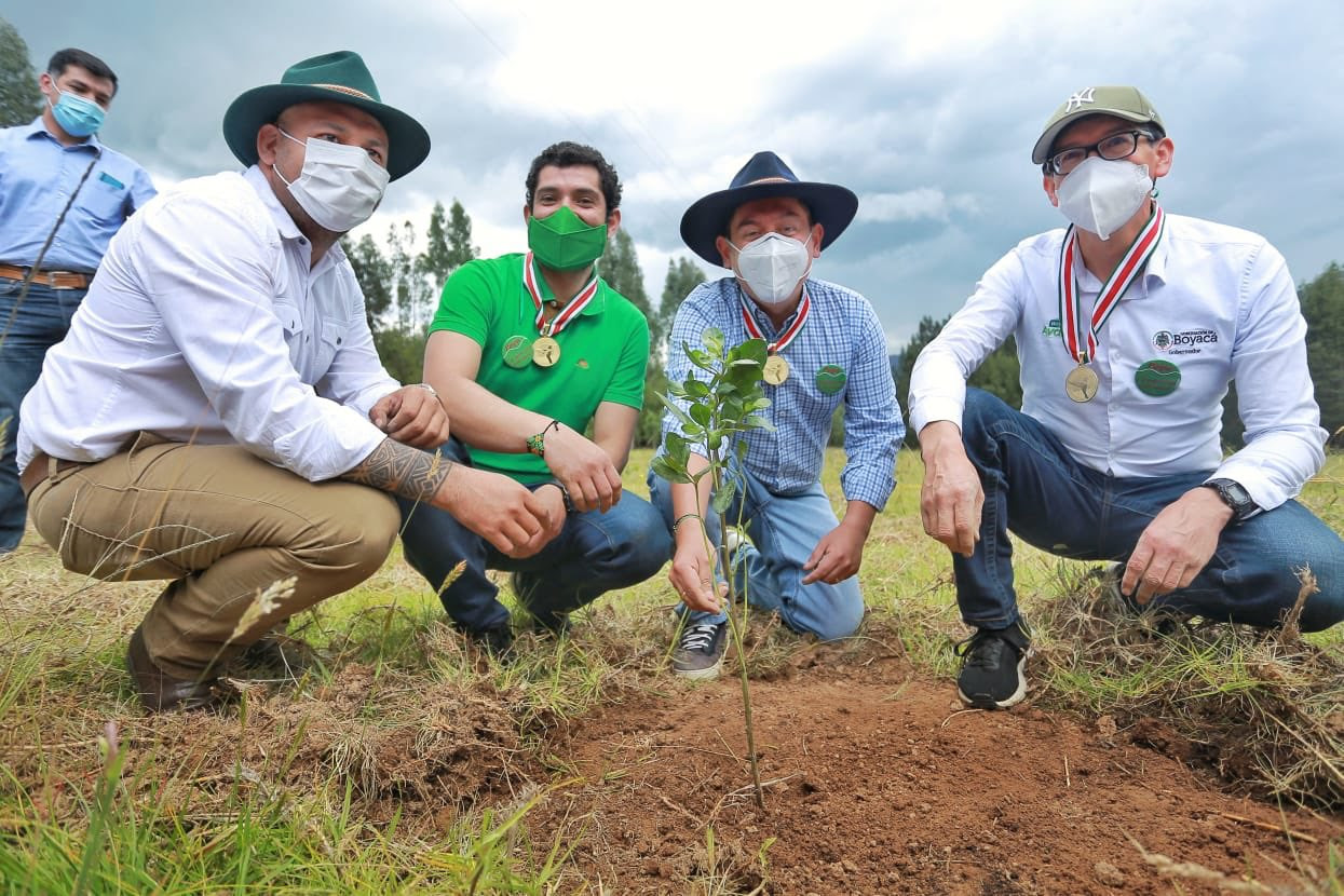 Gobernador Ramiro Barragán participó en la siembra de 3 mil árboles en territorio paipano