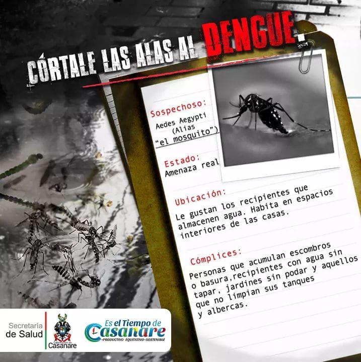 Disminución en la notificación de casos de Dengue para Casanare