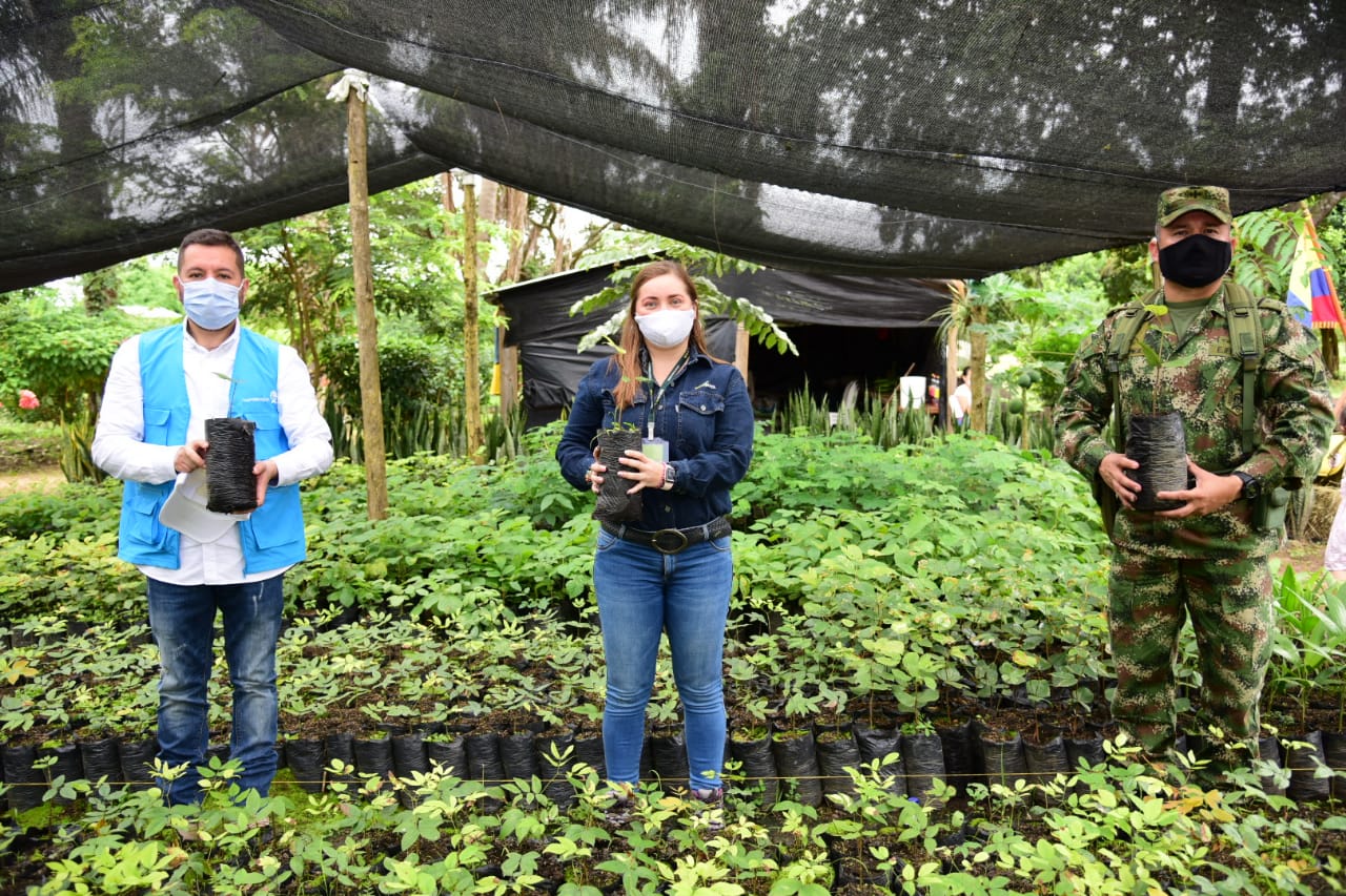 Grupo Ecopetrol plantará 468 mil árboles en Casanare a través de la iniciativa “Sembrar Nos Une”