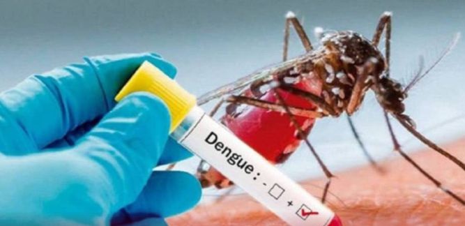 Disminuye la notificación de casos de dengue en Casanare