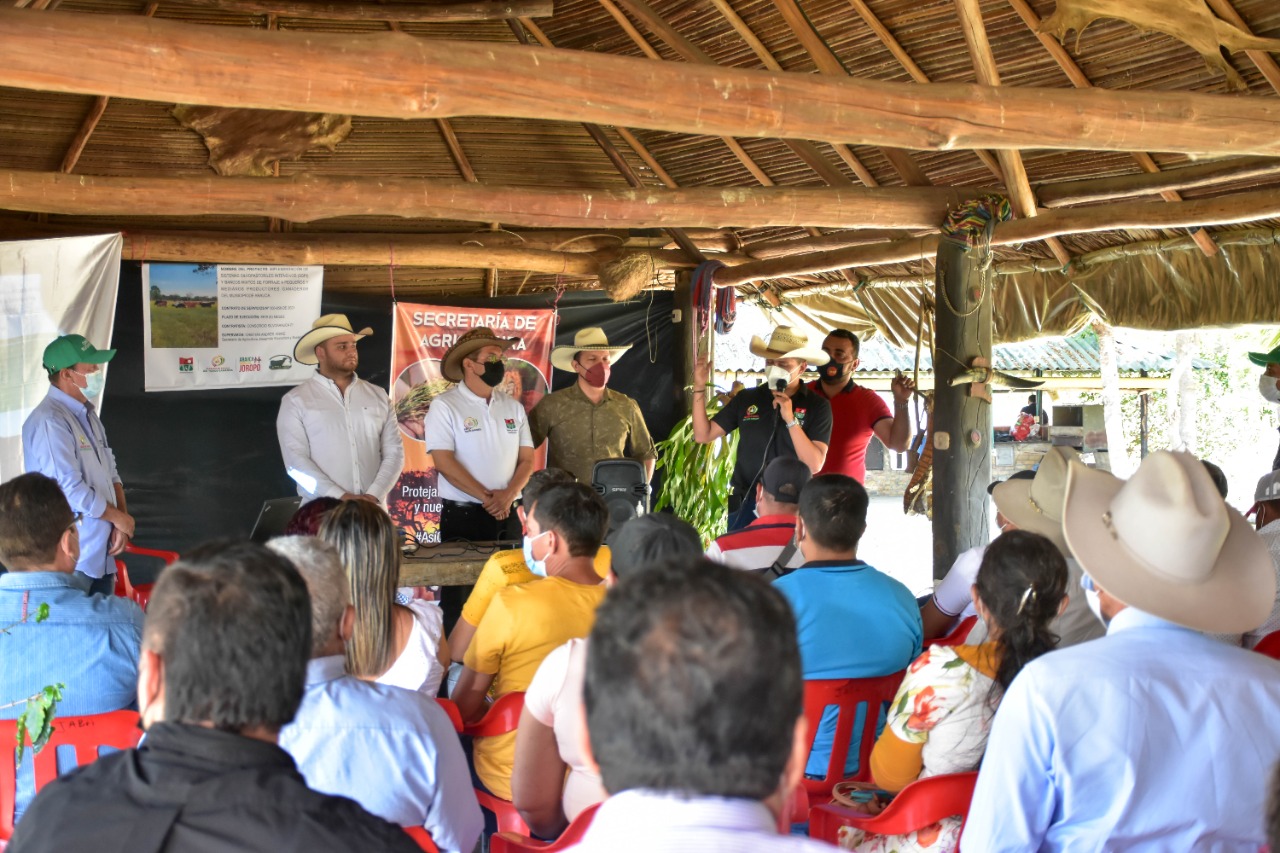 Alcaldía de Arauca, impulsa el desarrollo del sector agropecuario