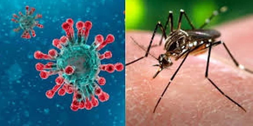 9 municipios de Casanare en epidemia por dengue